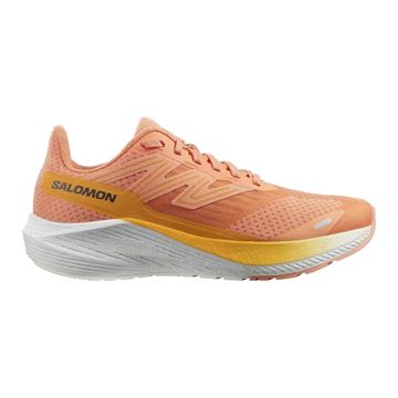 Picture of SALOMON - AERO BLAZE W