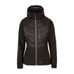 Picture of TRESPASS WOMENS SOFTSHELL JACKET ELVIRA